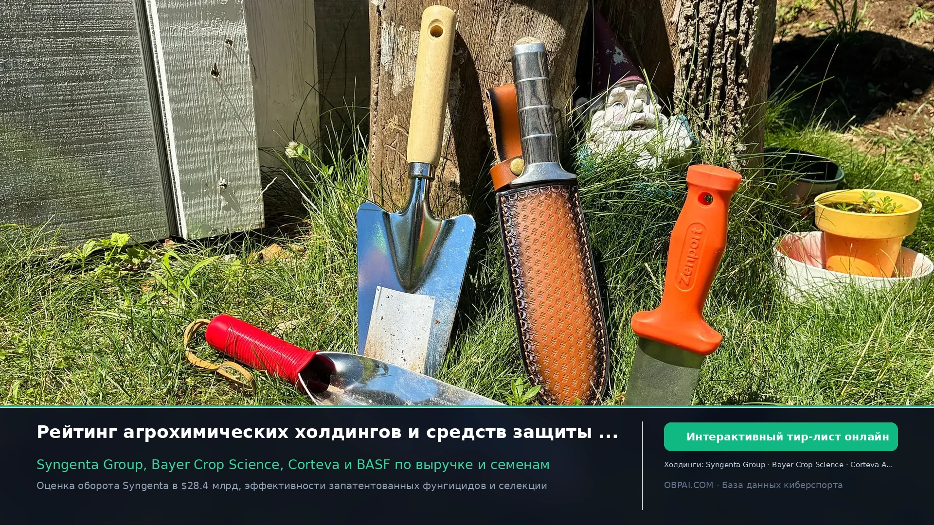 Глобальная защита растений 2026 - 天梯图与数据榜单