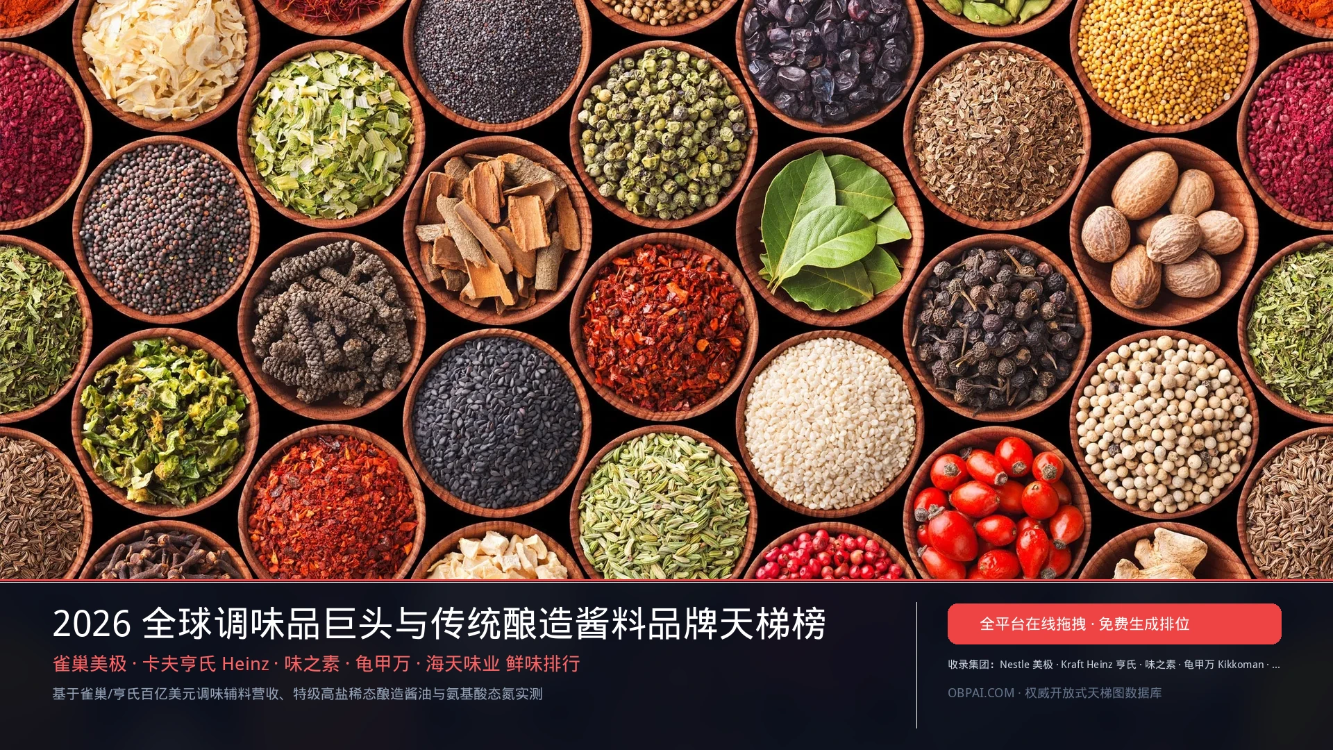 2026年全球调味品公司排行榜 - 天梯图与数据榜单