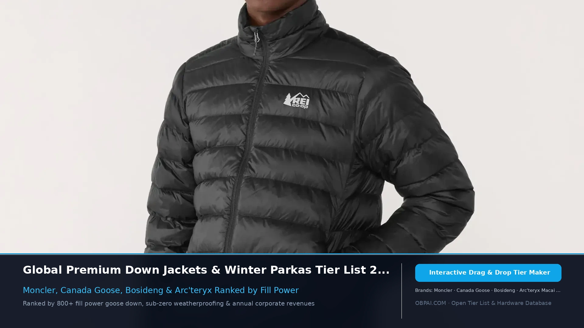Global Down Jacket Brands of 2026 - 天梯图与数据榜单