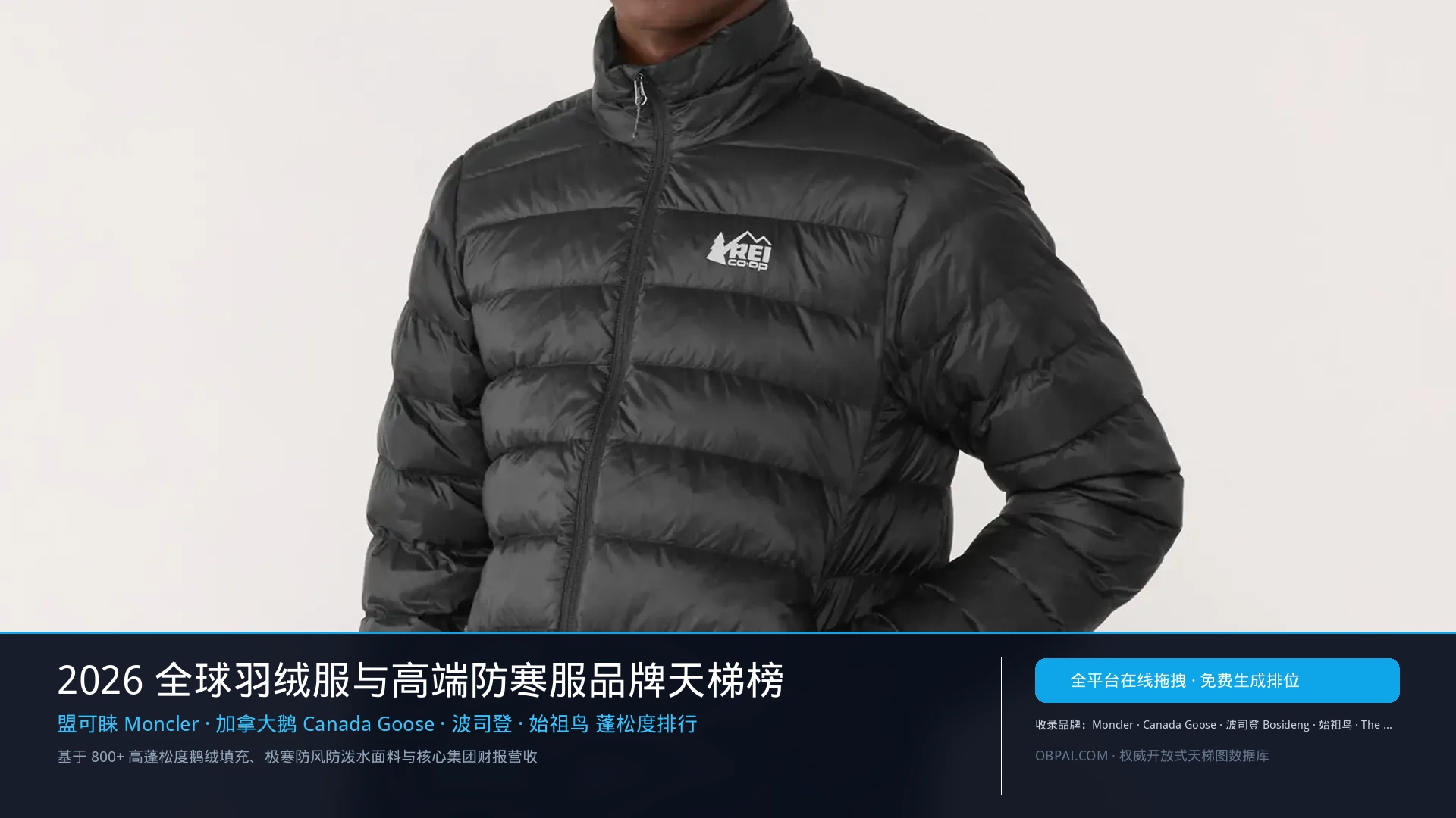 2026年全球羽绒服品牌排行榜 - 天梯图与数据榜单