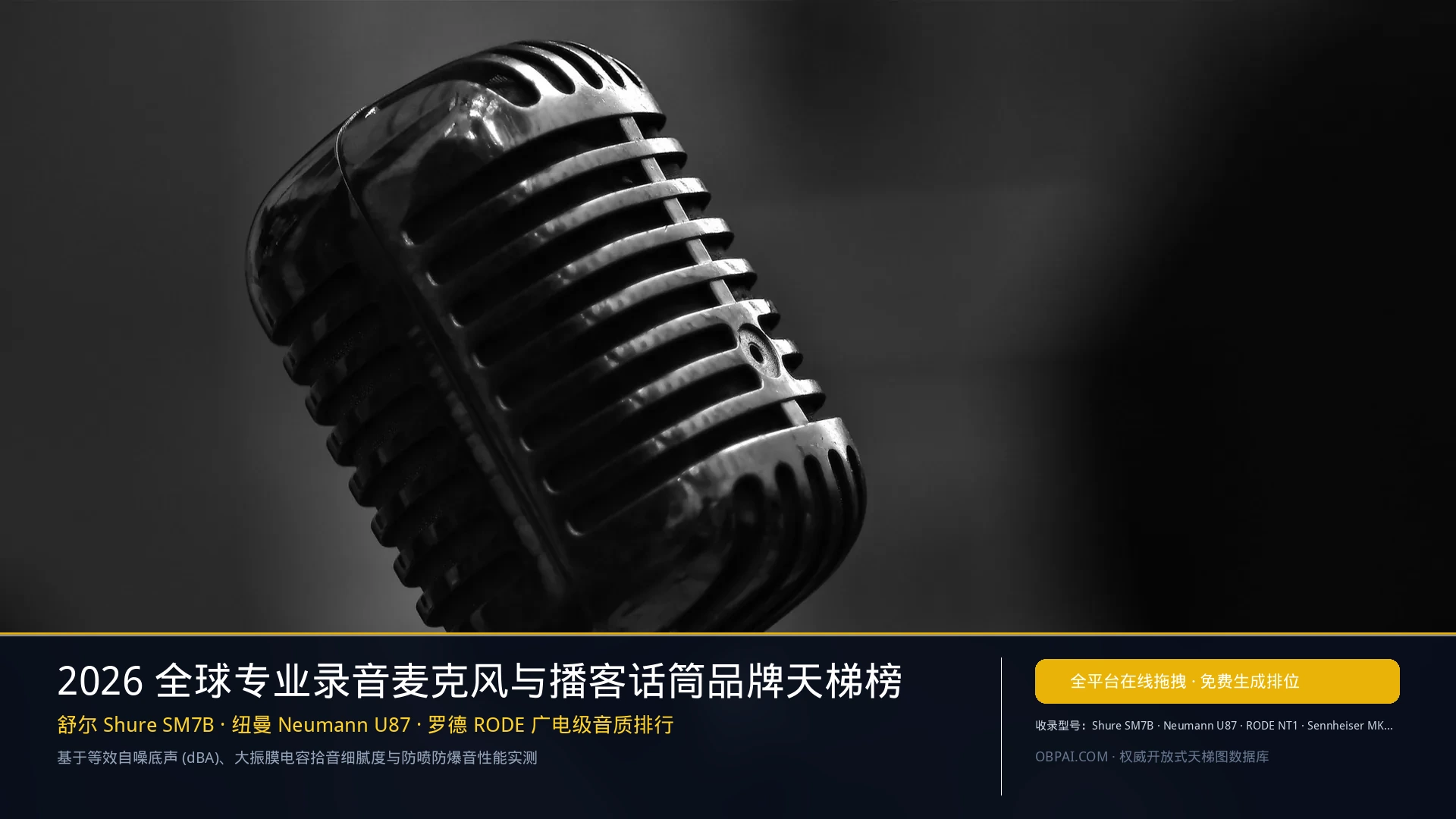 2026年全球专业录音麦克风品牌排行榜 - 天梯图与数据榜单