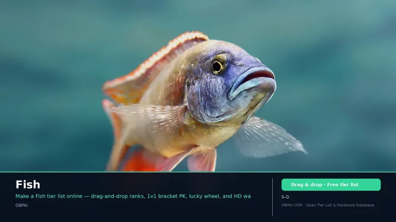 Fish