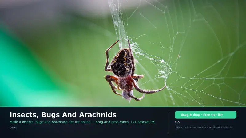 Insects, Bugs And Arachnids