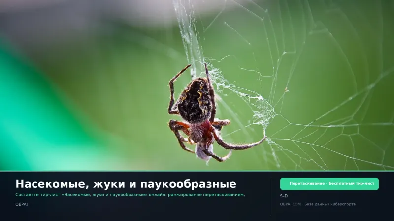 Насекомые, жуки и паукообразные