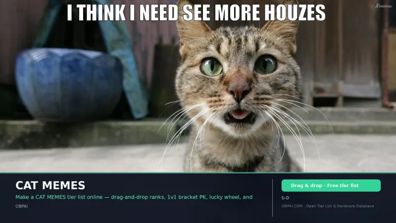 CAT MEMES