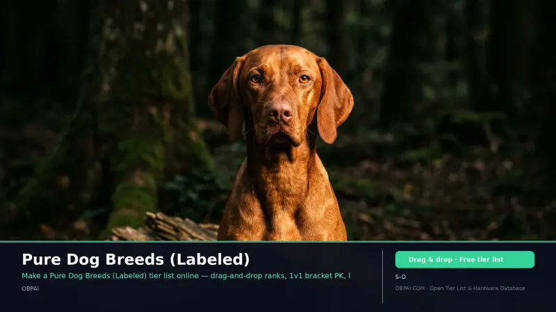 Pure Dog Breeds (Labeled)
