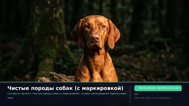 Чистые породы собак (с маркировкой)