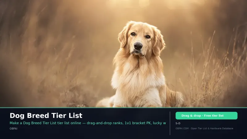 Dog Breed Tier List