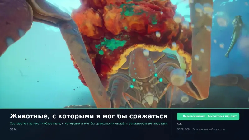 Животные, с которыми я мог бы сражаться
