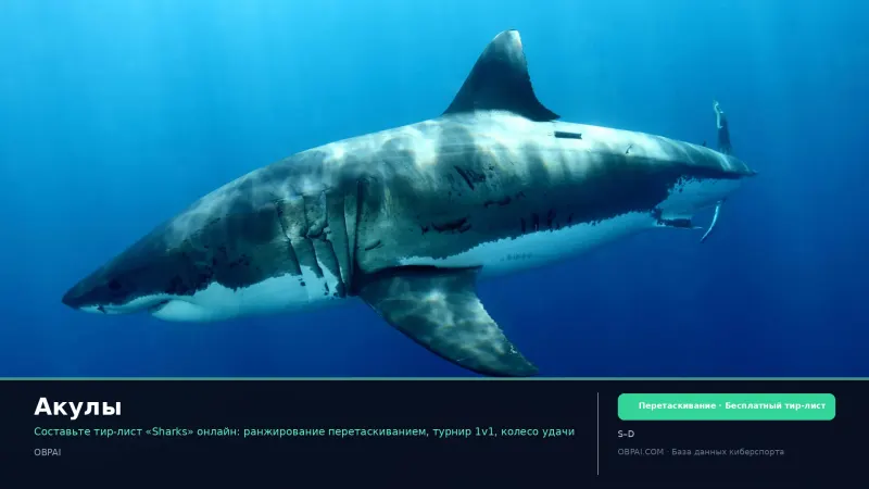 Акулы