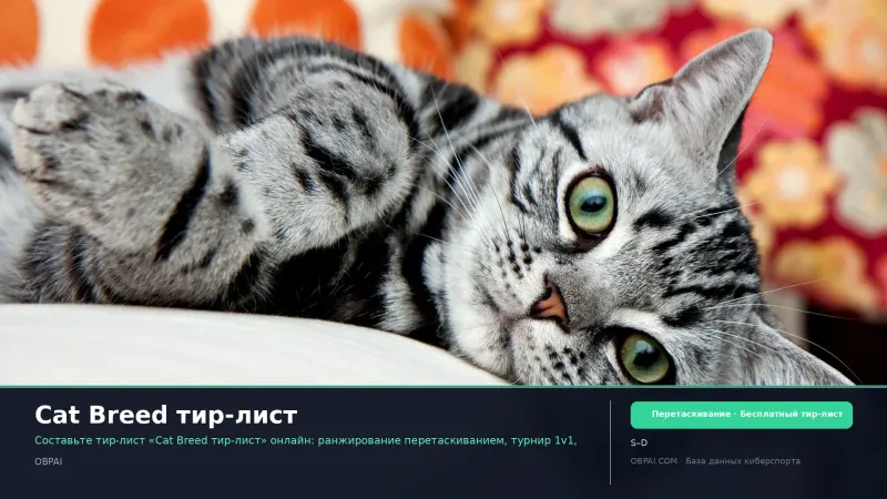 Cat Breed тир-лист