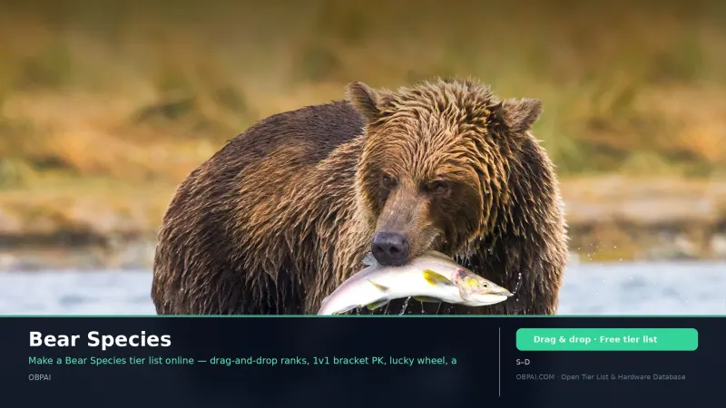 Bear Species