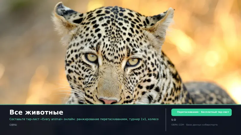 Все животные