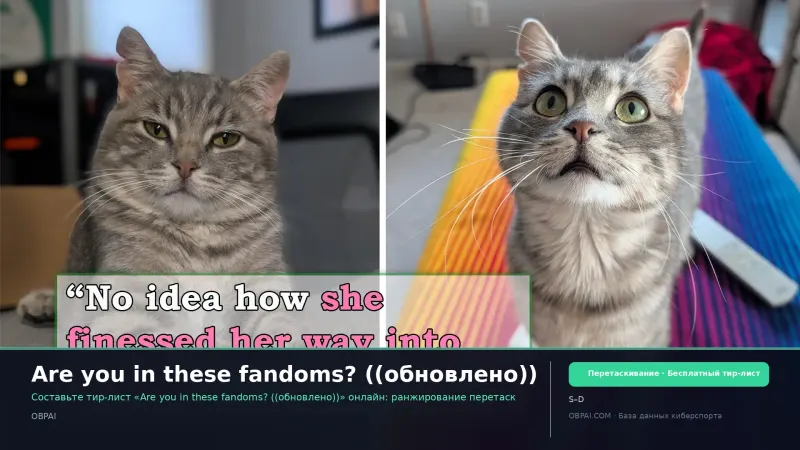 Are you in these fandoms? ((обновлено))