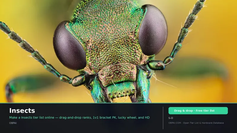 Insects