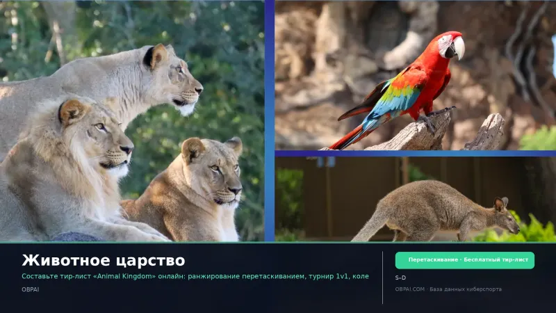 Животное царство