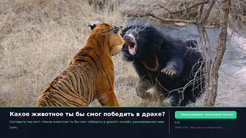 Какое животное ты бы смог победить в драке?
