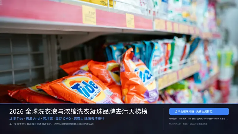 2026年全球洗衣液品牌排行榜