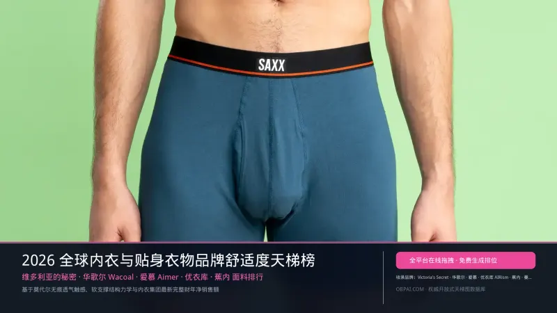 2026年全球内衣品牌排行榜