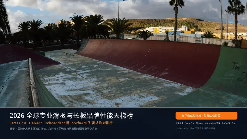全球专业滑板与长板排行榜