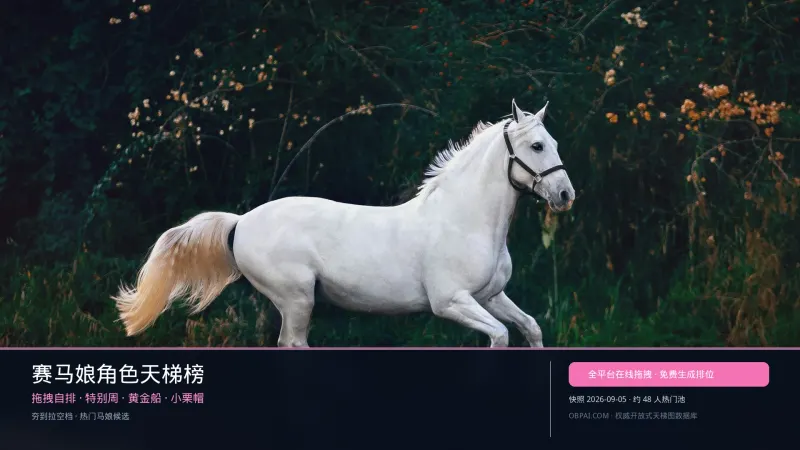 赛马娘角色天梯榜