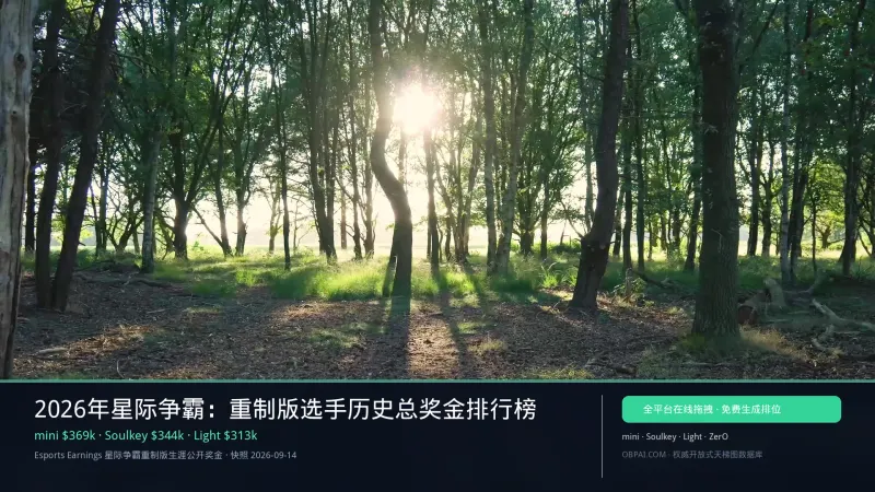 星际争霸重制版选手奖金天梯榜