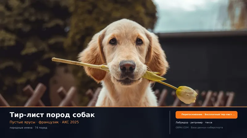 Тир-лист пород собак